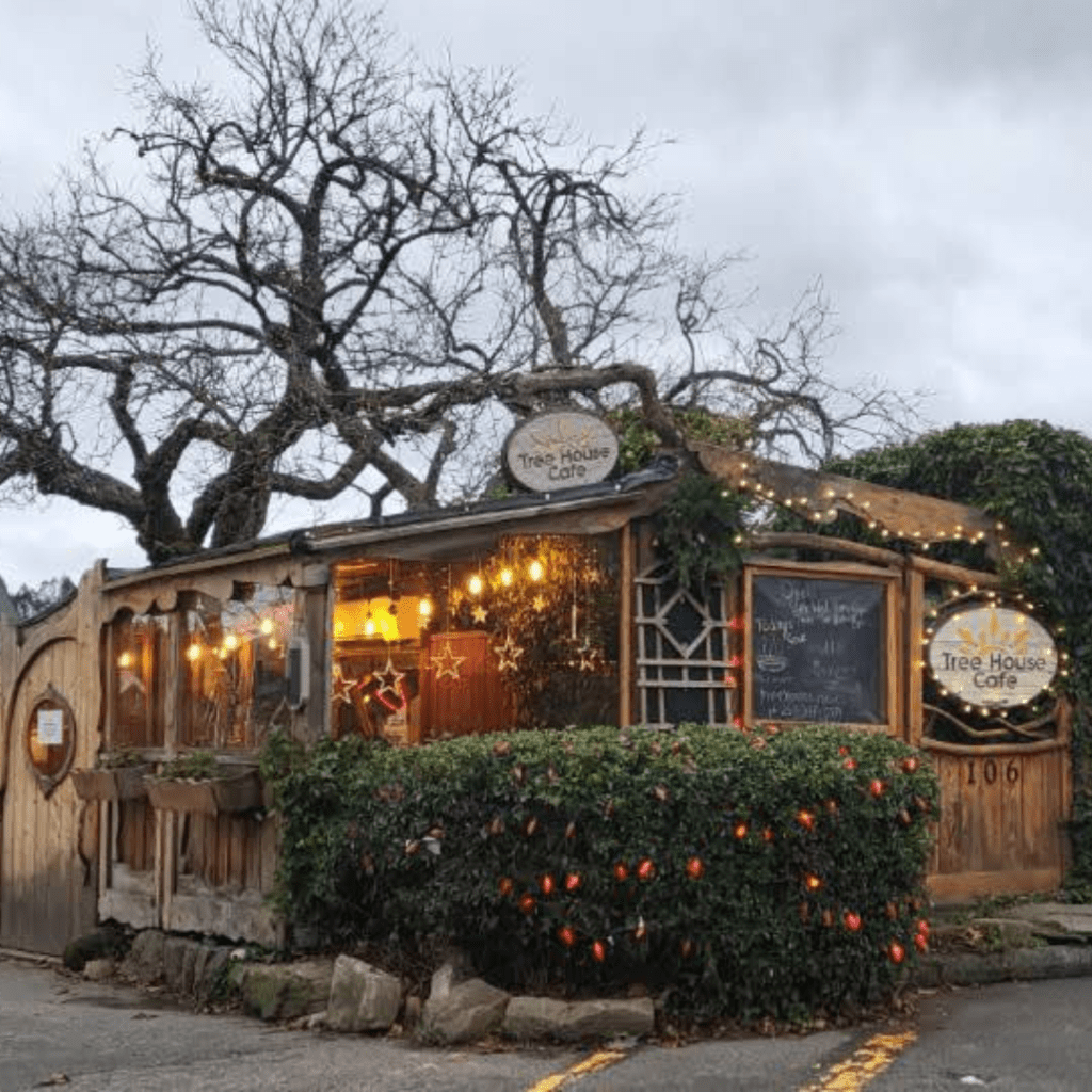 Tree house cafe on Salt Spring Island