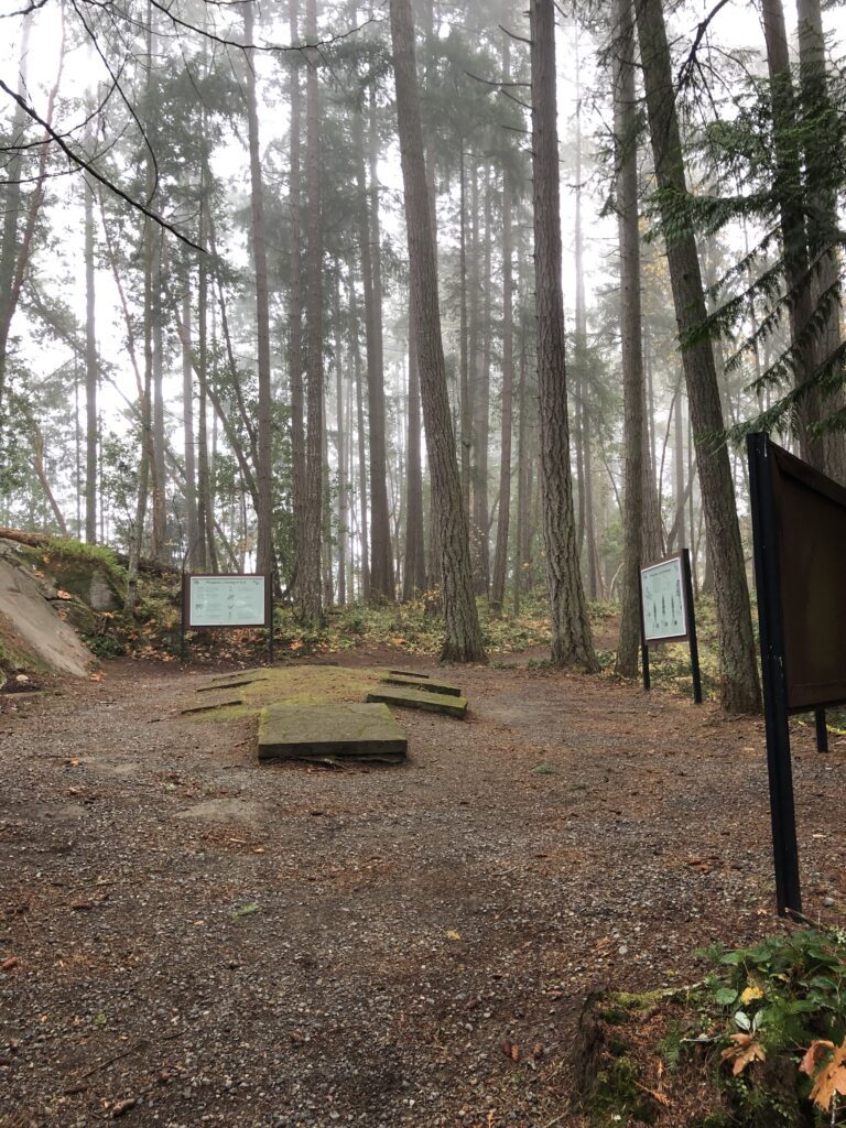 Sign boards that talk about the petroglyphs and their history.