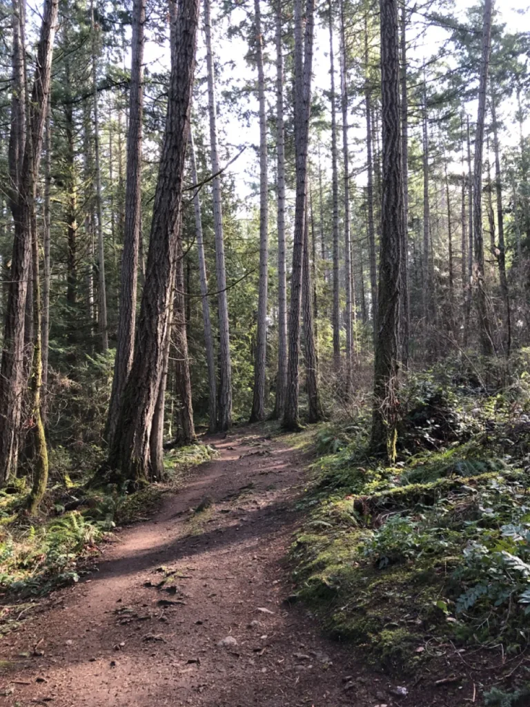 Roberts Memorial Provincial Park - Little Homestead