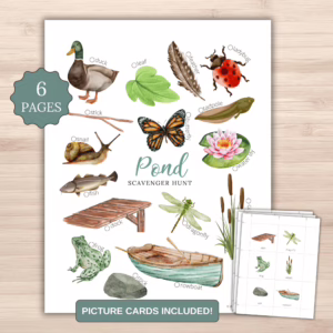 Pond Scavenger Hunt